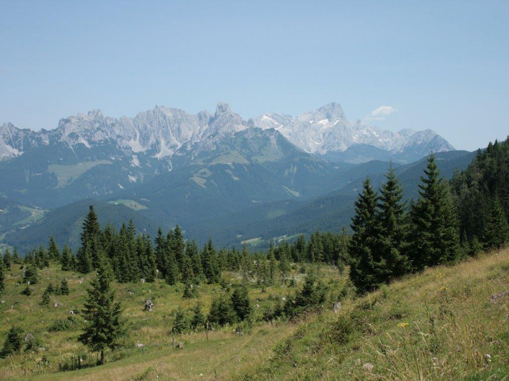 Waldhaus Apartment Sankt Martin am Tennengebirge Bagian luar foto