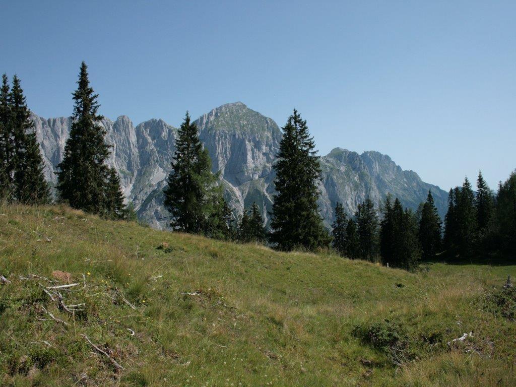 Waldhaus Apartment Sankt Martin am Tennengebirge Bagian luar foto